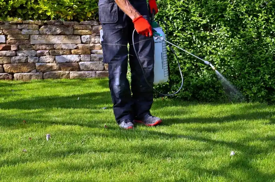 Excellent Pest Removal Sulphur, LA Excellent Pest Removal Sulphur, LA
