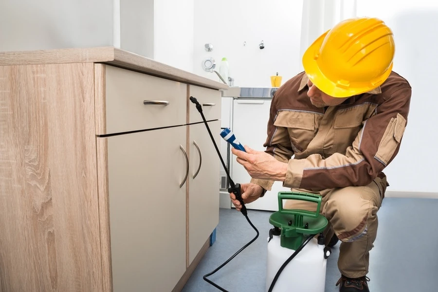 How Pests Affect Food Storage And Safety At Home in Sulphur, LA How Pests Affect Food Storage And Safety At Home in Sulphur, LA