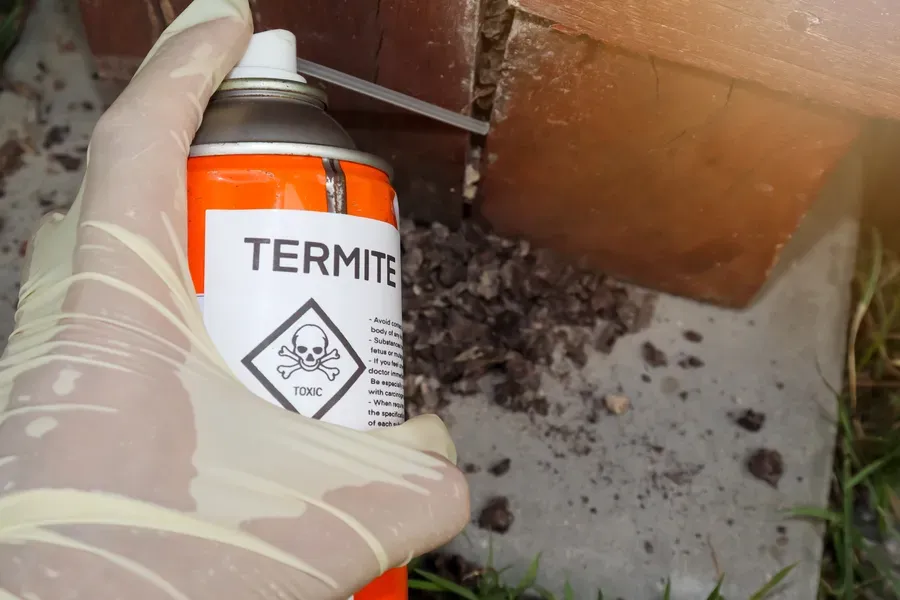How Termites Affect Different Types Of Building Materials in Sulphur, LA How Termites Affect Different Types Of Building Materials in Sulphur, LA