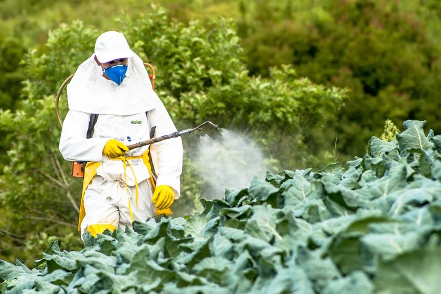 Reliable Pest Removal Sulphur, LA Reliable Pest Removal Sulphur, LA