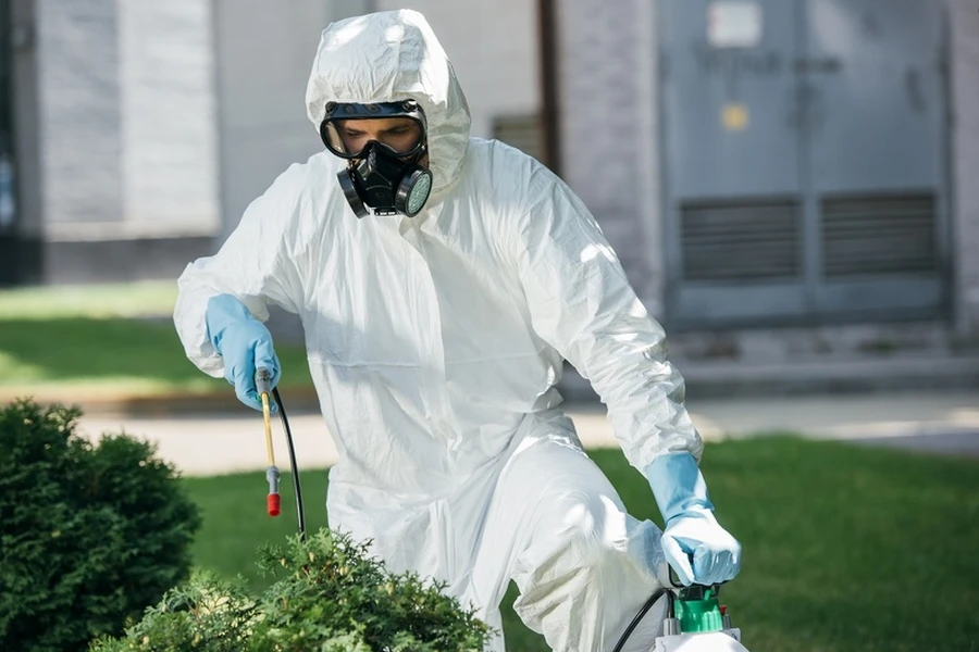 Reputable Pest Removal Sulphur, LA Reputable Pest Removal Sulphur, LA