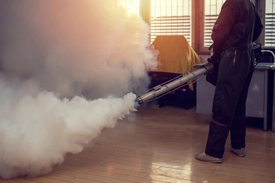 Signs Of Termite Infestation And How To Respond Sulphur, LA Signs Of Termite Infestation And How To Respond Sulphur, LA