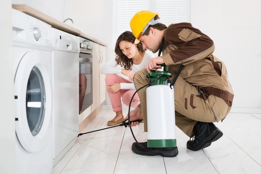Signs Of Termite Infestation And How To Respond in Sulphur, LA Signs Of Termite Infestation And How To Respond in Sulphur, LA